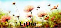 More on Litha the summer solstice